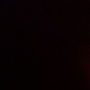 Meet your Posher, Tony